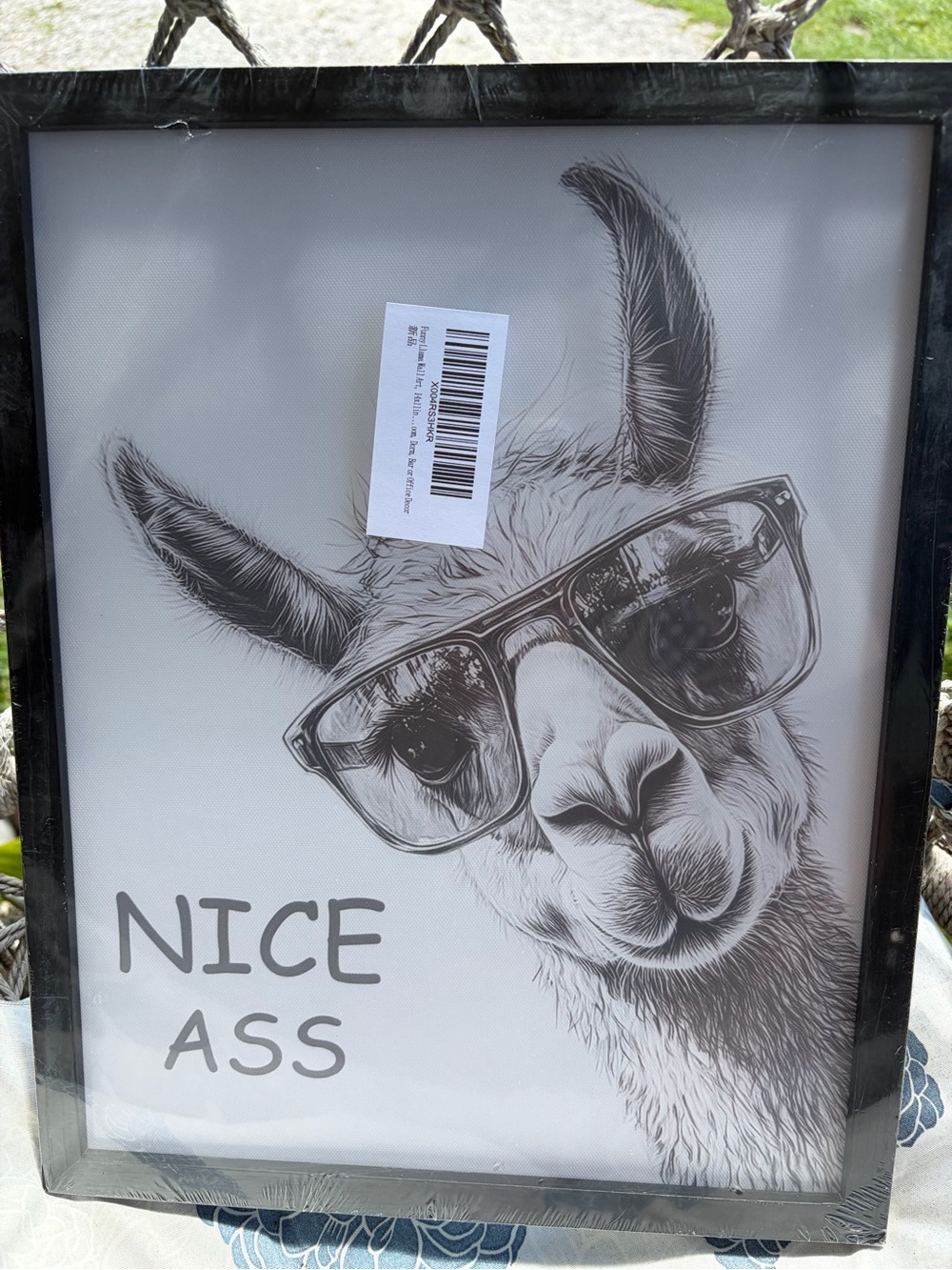 Nice Ass Llama Wall Art Print - Black Frame